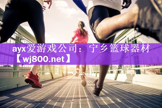 <strong>ayx爱游戏公司：宁乡篮球器材</strong>