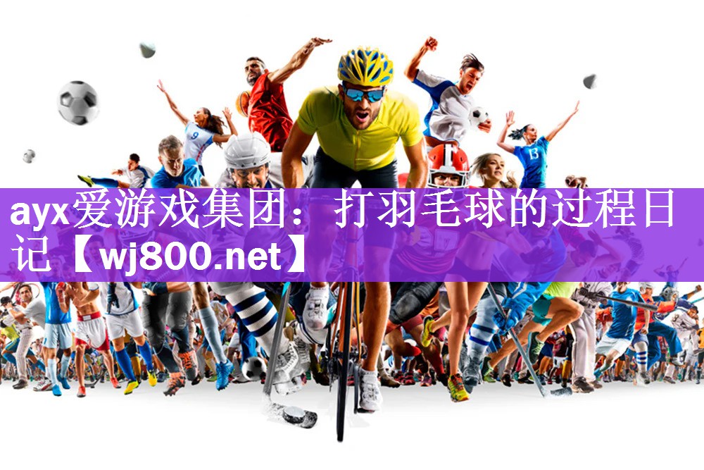 打羽毛球的过程日记