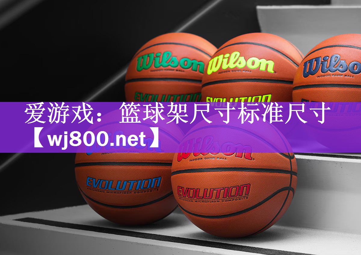 篮球架尺寸标准尺寸
